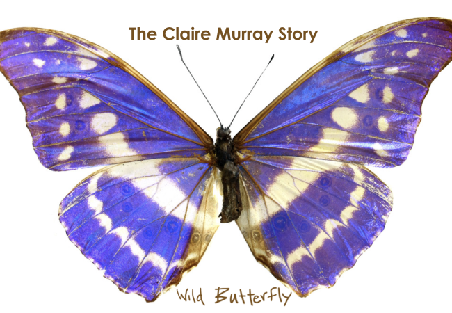 Wild Butterfly Logo NEW Wild Butterfly Logo NEW